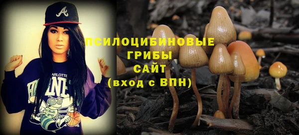 скорость Богданович