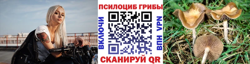 hydra сайт  Волосово  Галлюциногенные грибы GOLDEN TEACHER 